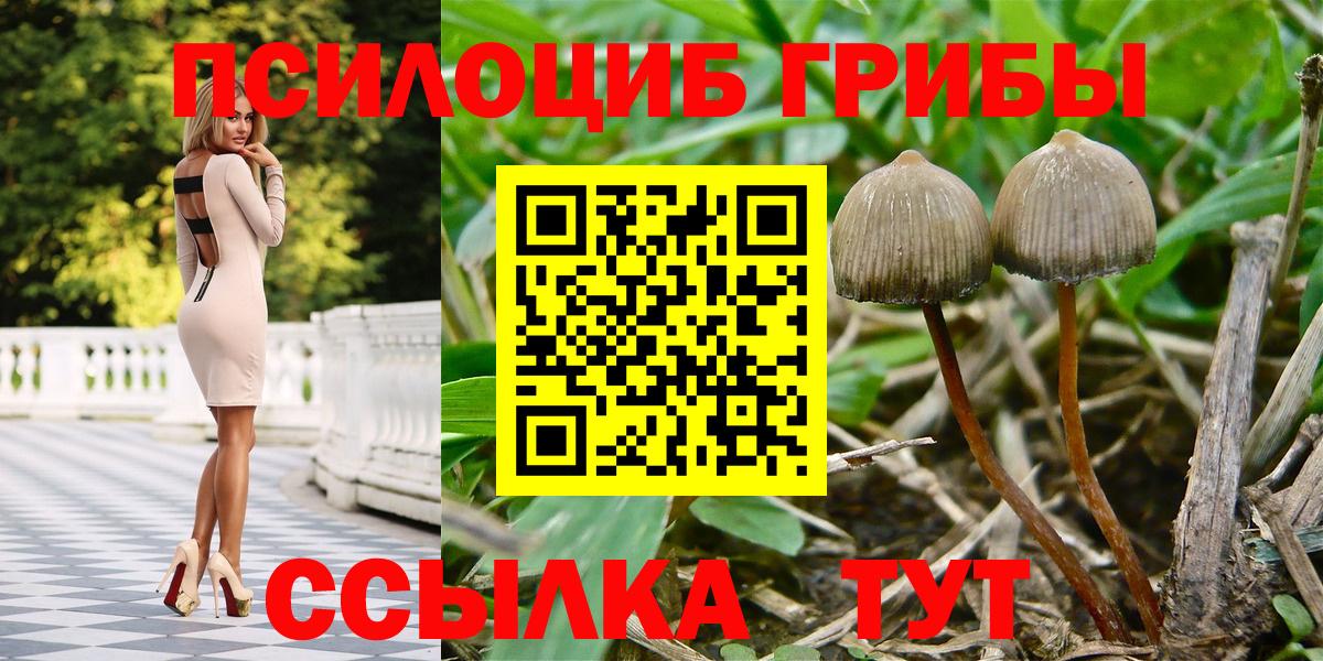 Псилоцибиновые грибы ЛСД Аргун
