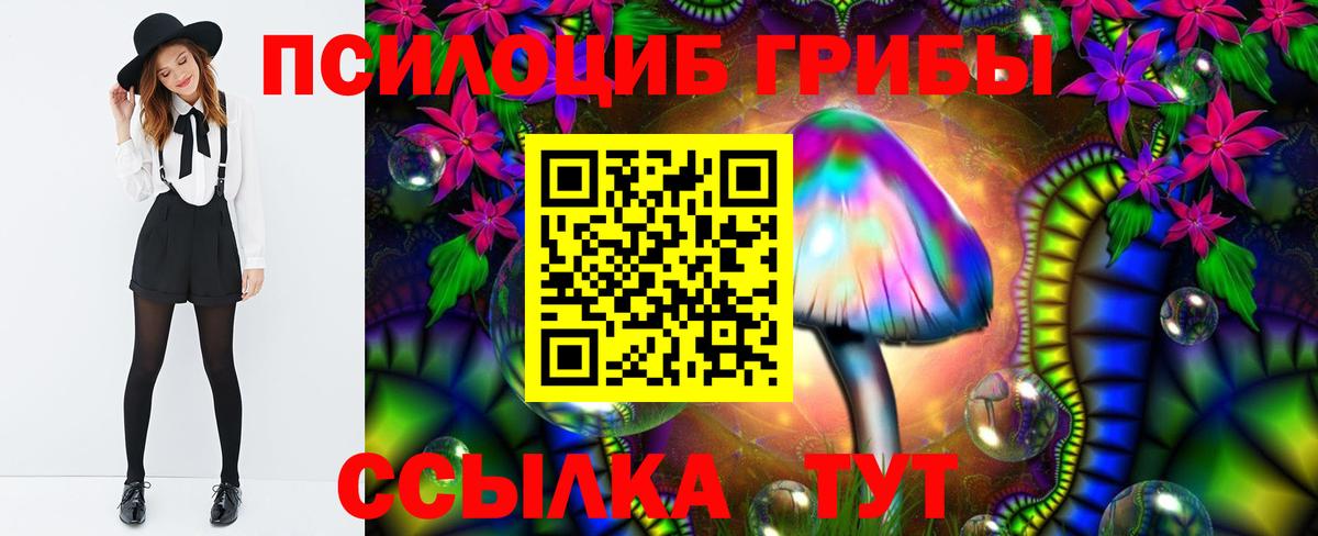 Каннабис Аргун