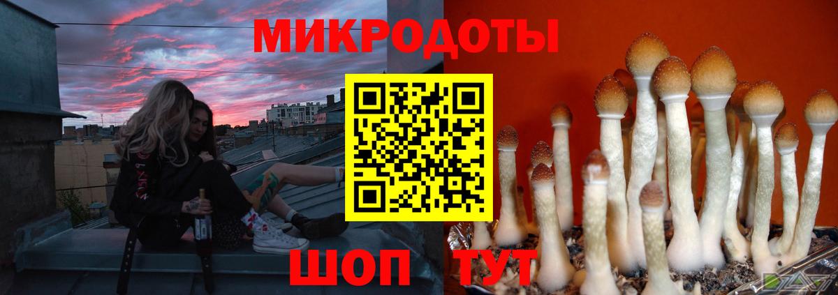 Галлюциногенные грибы прущие грибы  Псилоцибиновые грибы Cubensis  Аргун  Вход с VPN 